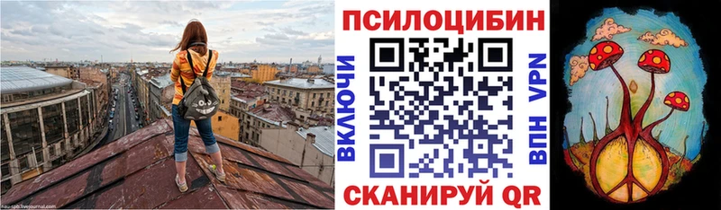 Псилоцибиновые грибы MAGIC MUSHROOMS Уржум